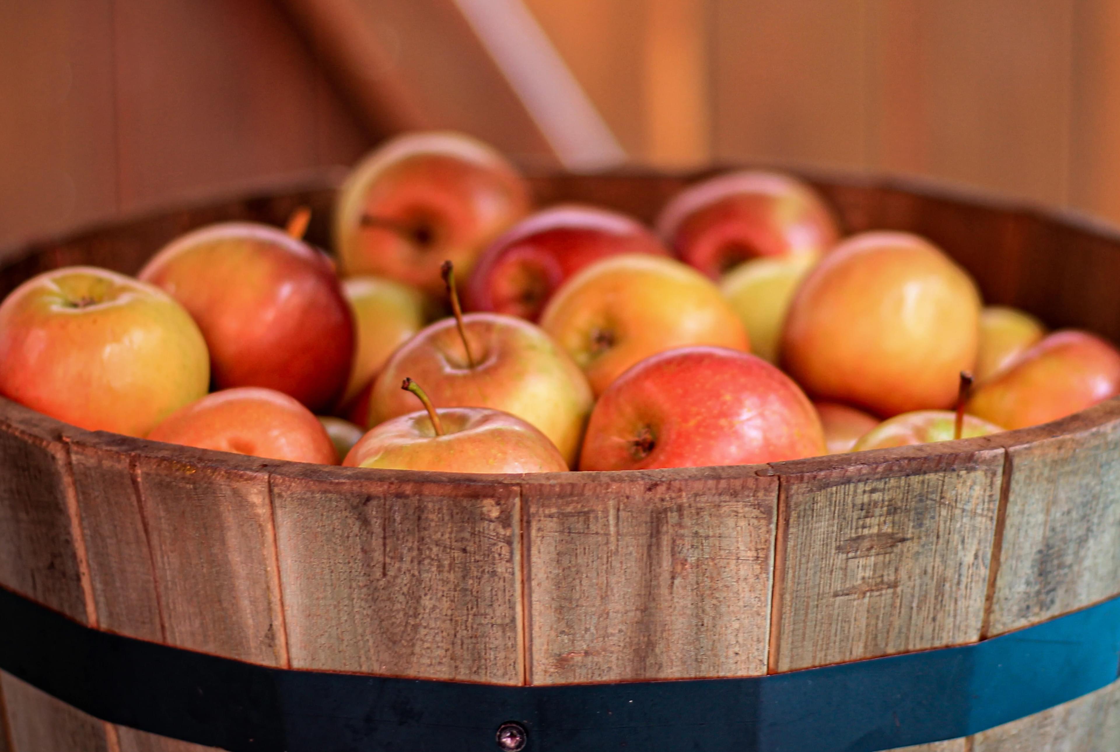 Resources Arctic Apples